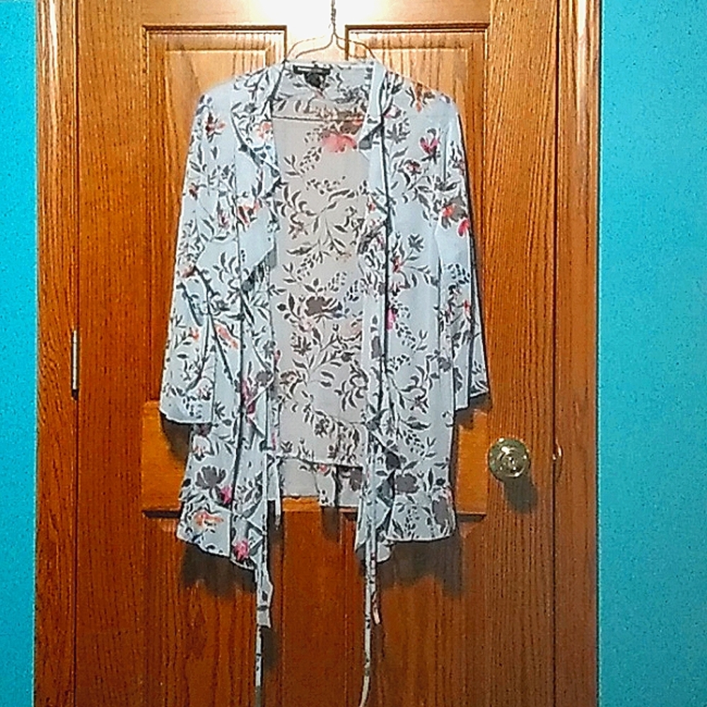 Blue shirt, dress cover, or shirt cover